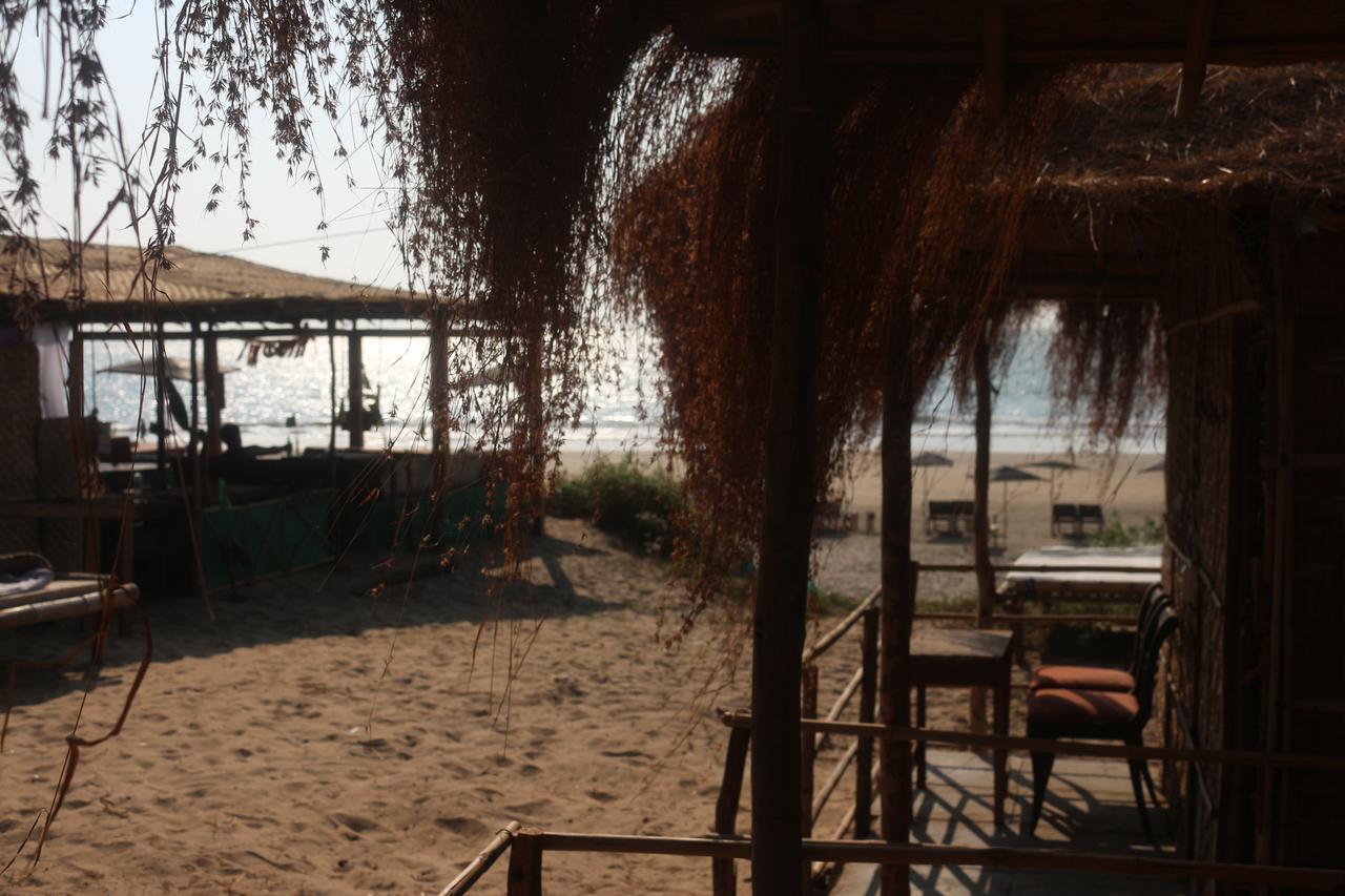 Huts On Arambol Beach Hotel Exterior photo